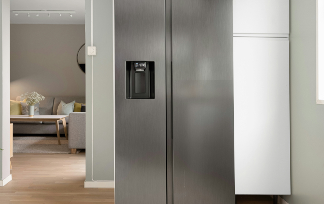 domestic-refrigerator